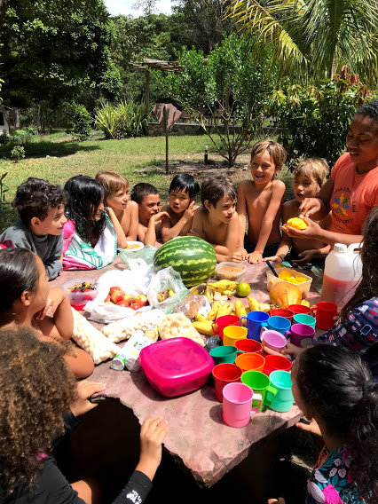 Sponsor Environmental Education of Kids in Brazil