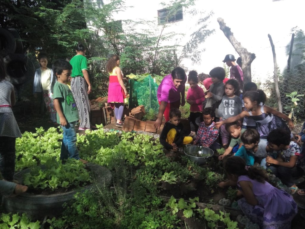 Sponsor Environmental Education of Kids in Brazil