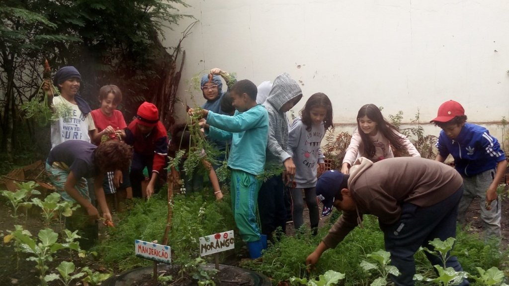 Sponsor Environmental Education of Kids in Brazil