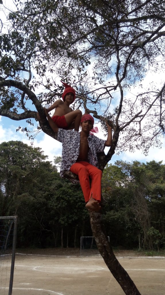 Sponsor Environmental Education of Kids in Brazil