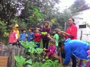 Harvest on time