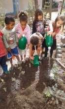Children taking care of the vegetable garden