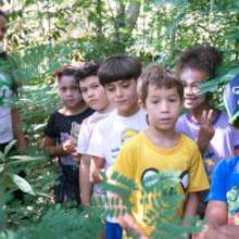 visit to the community garden