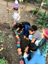 Building a garden at school