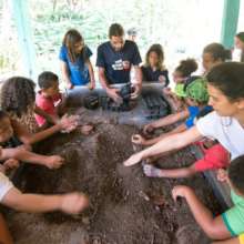 Getting to know the worm farm in the community gar