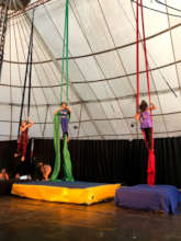Motor coordination activity
