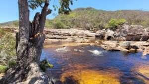 Visit to Environmental Preservation Areas