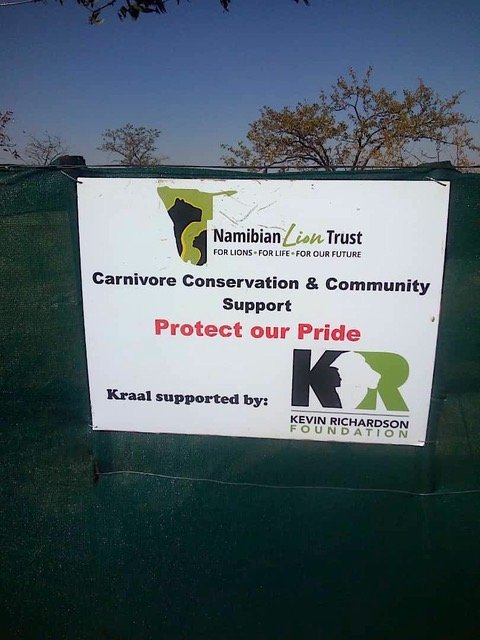 Protect lions in Namibia from retaliatory killings