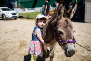 Animal Therapy works great at the camp