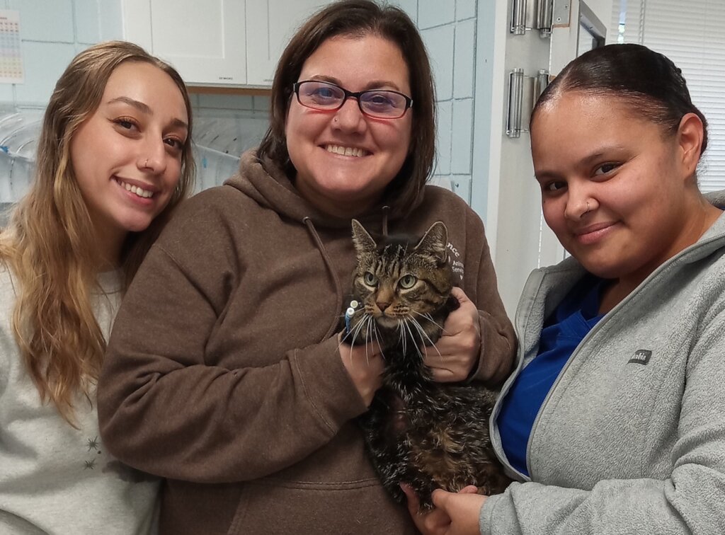 Mookie's chance to live her life to the fullest