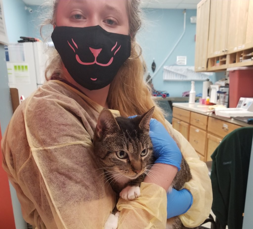 Keep 250 Pets Out of Shelters