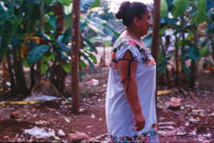 Indigenous Maya Woman in Traditional Maya Clothes