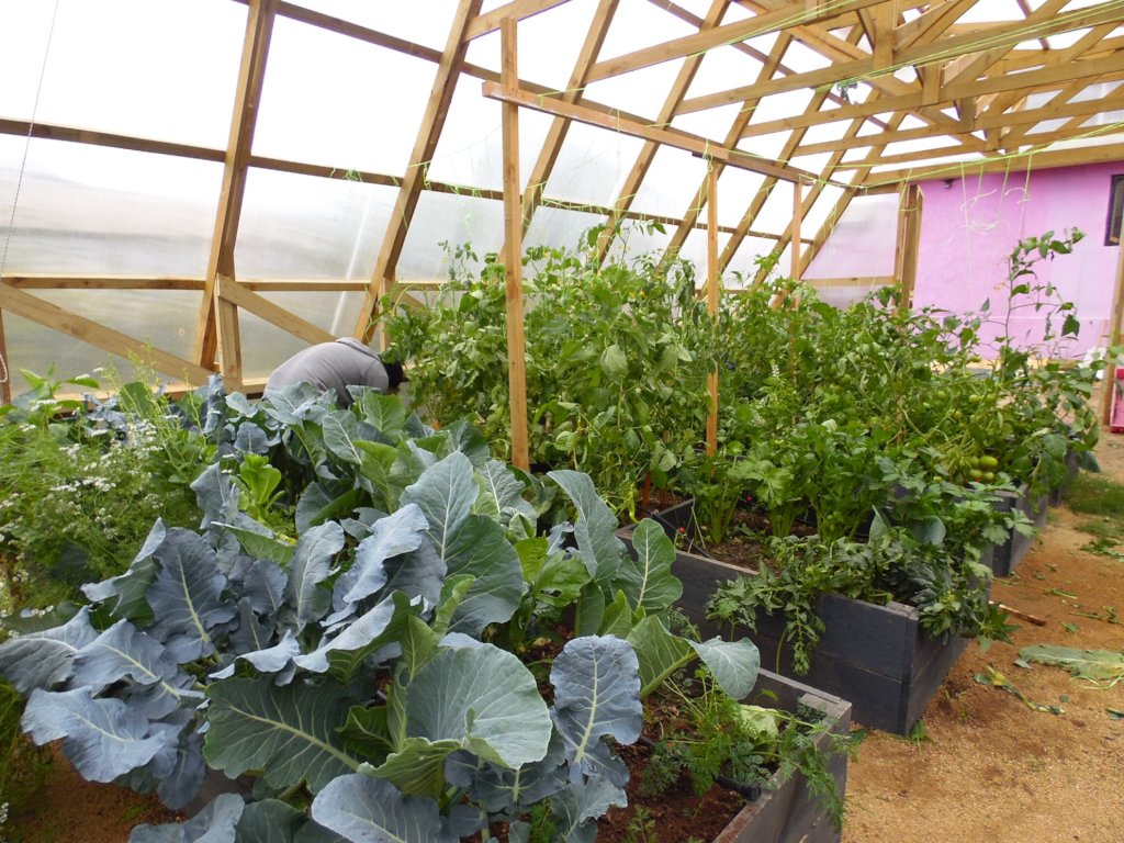 Provide sustainable greenhouses to feed families