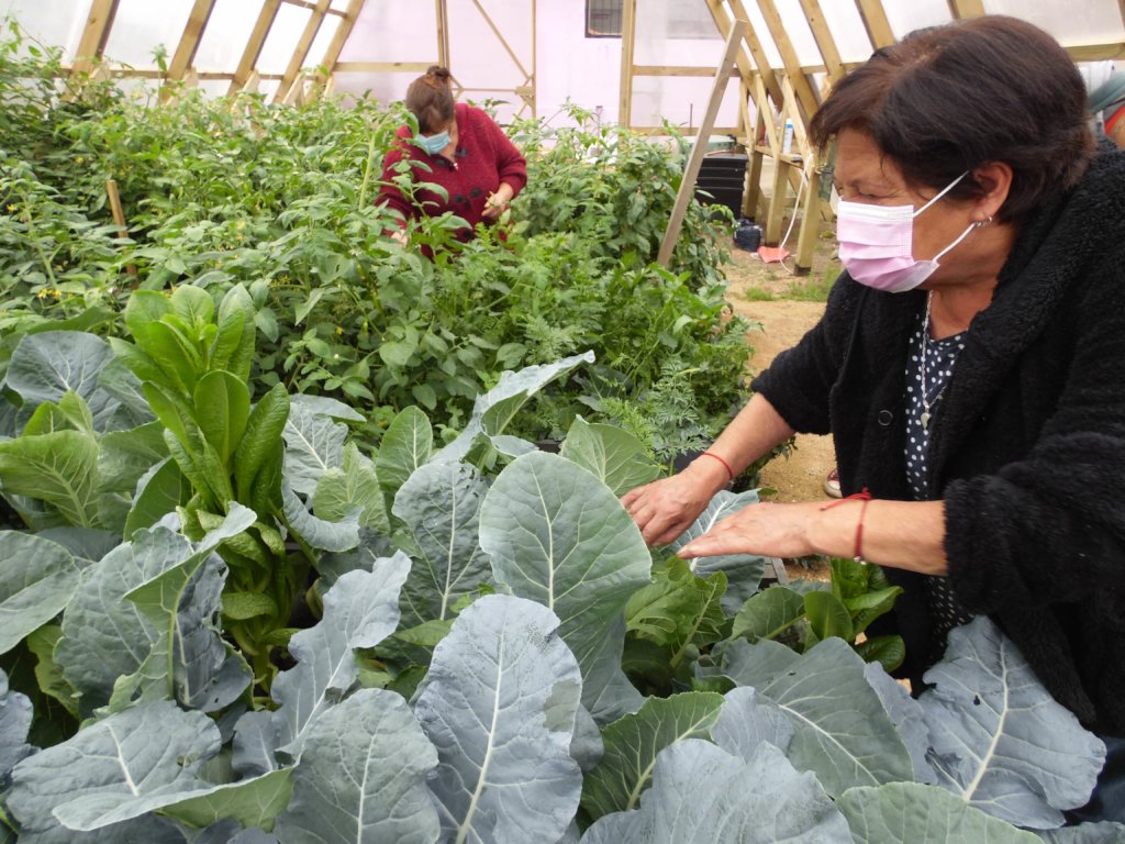 Provide sustainable greenhouses to feed families