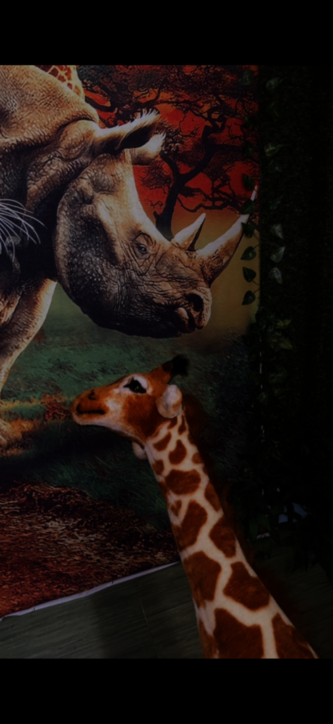 "The Oasis": Restoring Girls From The Inside Out