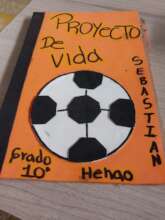 Working in the Life Project