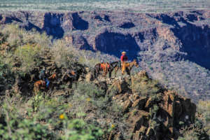 Saving pesos...and the ranching culture in Mexico