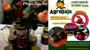 Agro Baja 2023