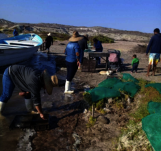 The women of the Puerto Azul oyster cooperative