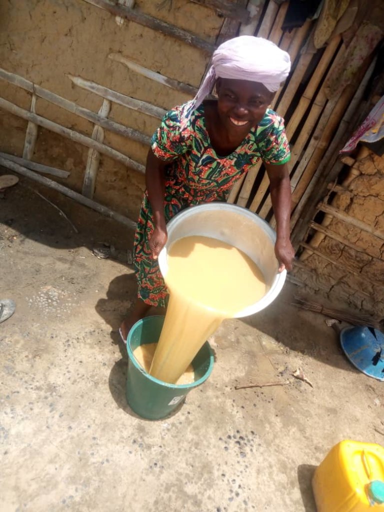 Help 1000 women to assess potable water in Ghana