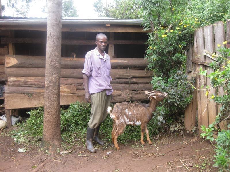 Improve Livelihoods of 225 HIV-Affected Families