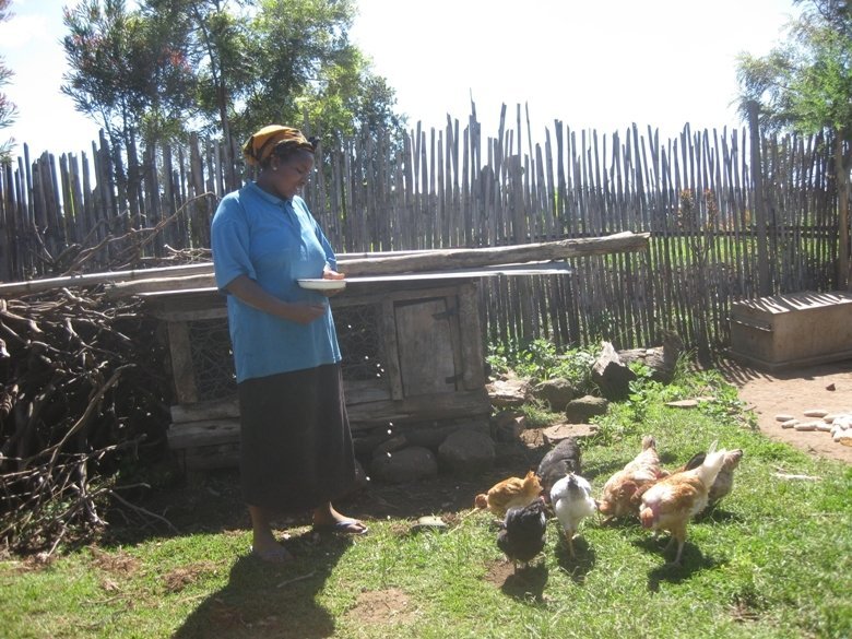 Improve Livelihoods of 225 HIV-Affected Families