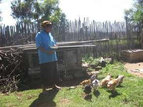 Local chicken rearing intervention