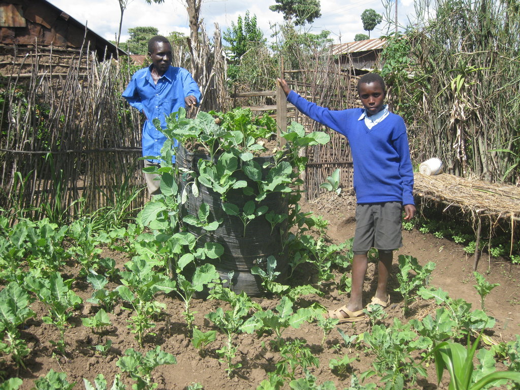Improve Livelihoods of 225 HIV-Affected Families