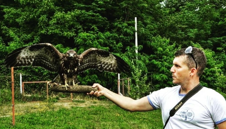 Wild bird rescue centers in Bosnia and Herzegovina