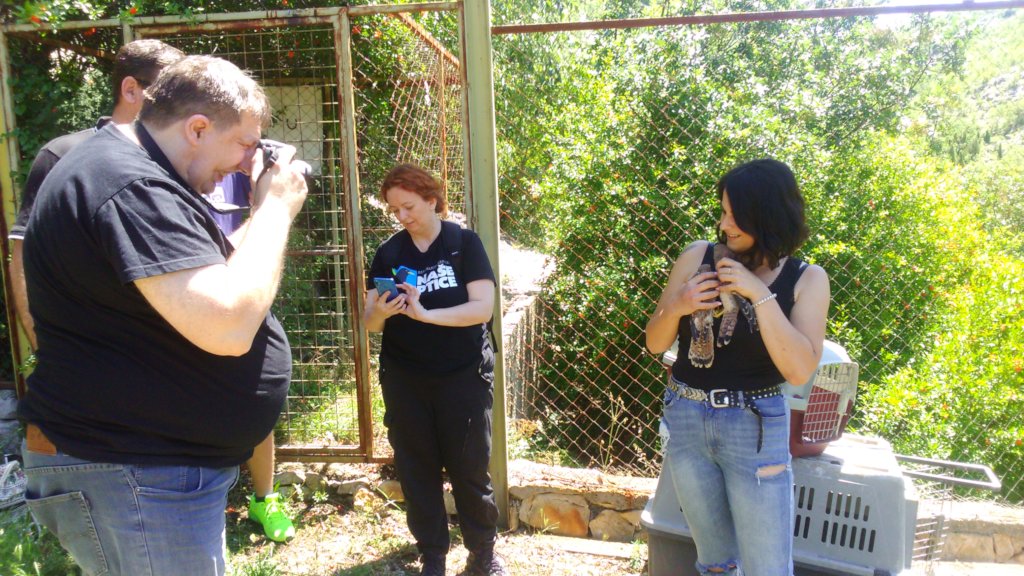 Wild bird rescue centers in Bosnia and Herzegovina