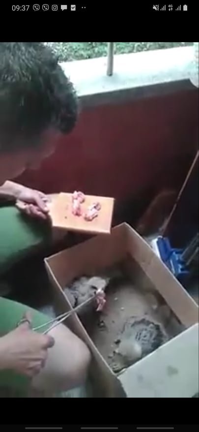 Wild bird rescue centers in Bosnia and Herzegovina