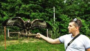 Buzzard is almoust ready to go