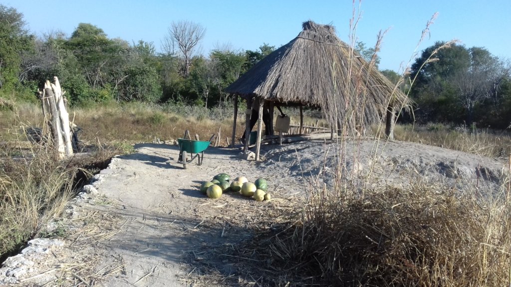 Market Gardens for 40 starving Families in Kabuba.