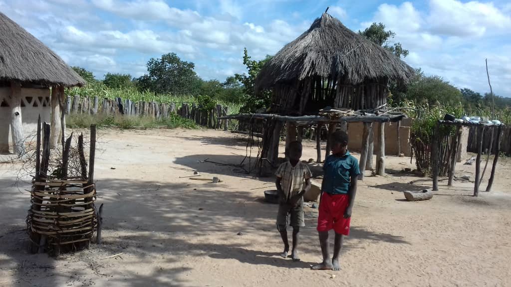 Market Gardens for 40 starving Families in Kabuba.