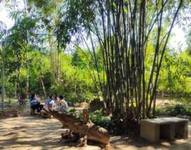 Women Support Circle