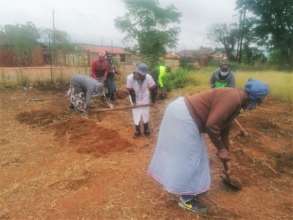 The start of a group gardening social enterprise
