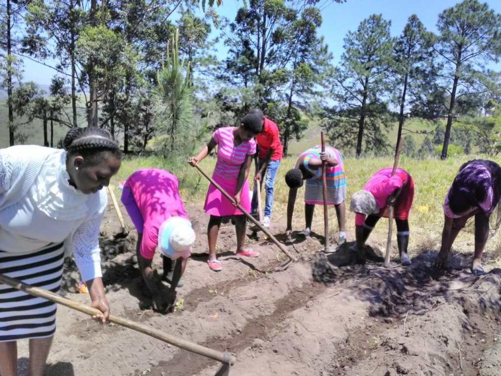 End gender based violence in KwaZulu