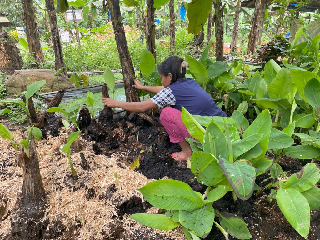 Continue with support