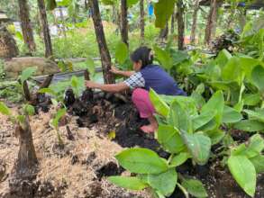 Continue with support