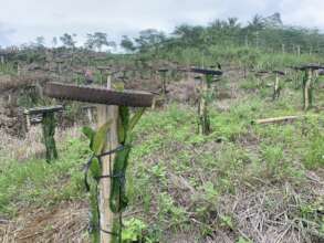 farming livelihood support