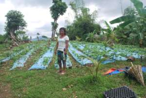 improving incomes