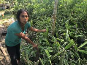 supporting income generating activities