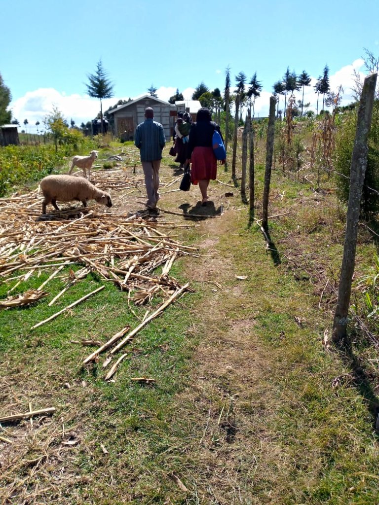 Empower marginalized women and men in rural Kenya