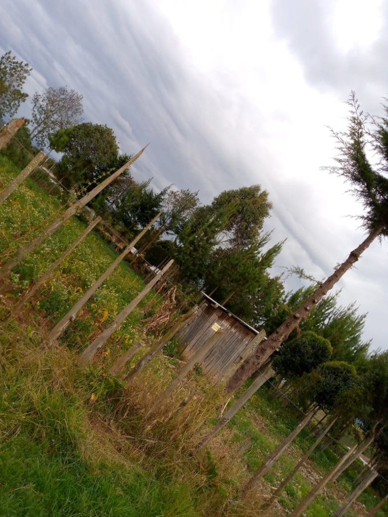 Empower marginalized women and men in rural Kenya