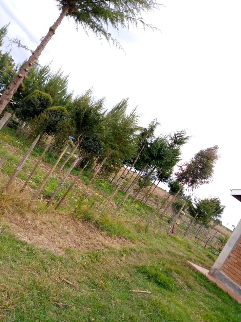 Empower marginalized women and men in rural Kenya