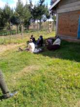 ~80% of Kenyan's are poor/near the poverty line