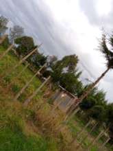 The poorest in Kenya live in rural areas