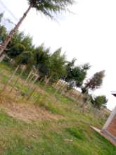 Enabling profitable agriculture