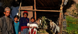 Twin sisters nurture their goat with love