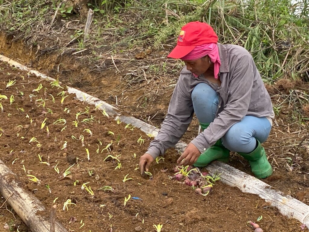 Continue with support